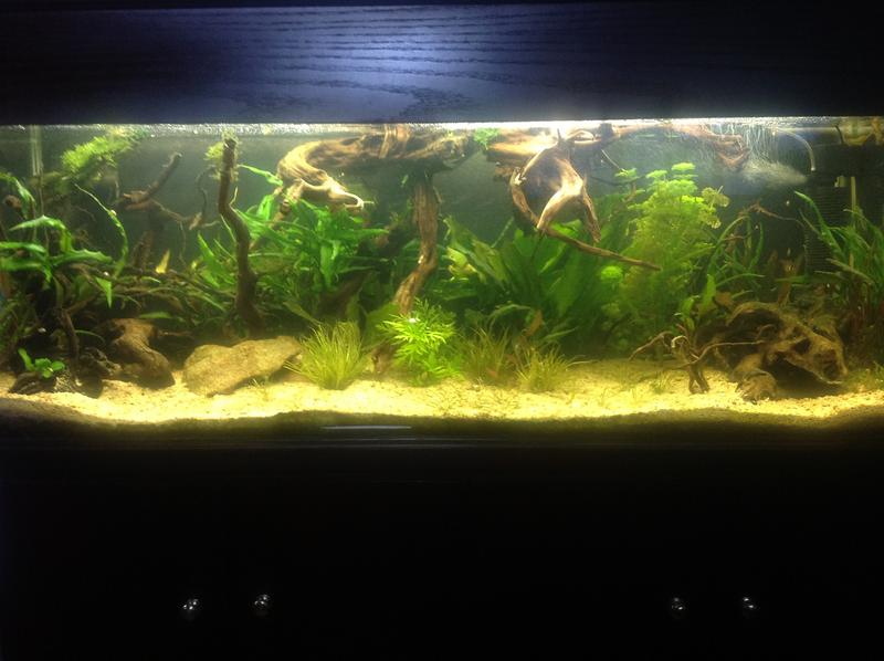 newsetup.jpg