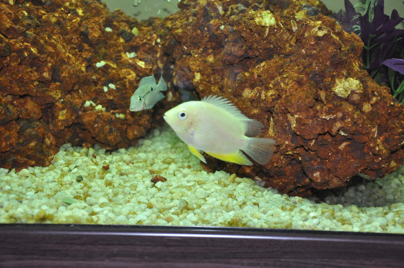 Nikon 1ste foto's 1548.jpg