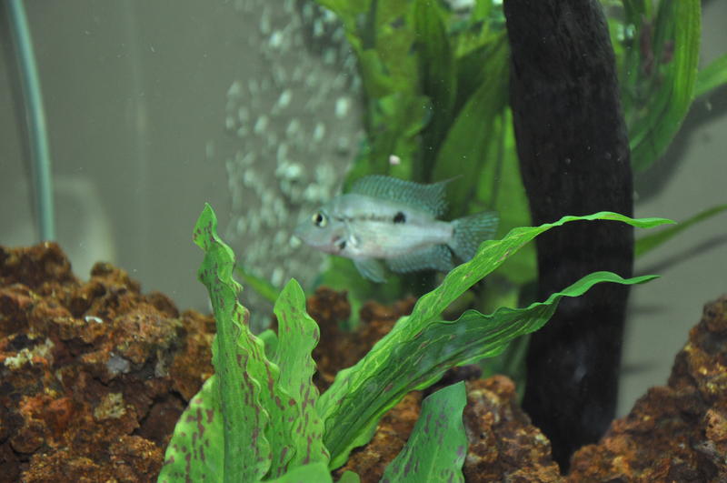 Nikon 1ste foto's 1552.jpg