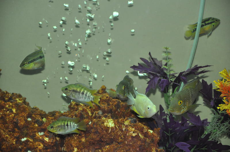 Nikon 1ste foto's 1564.jpg