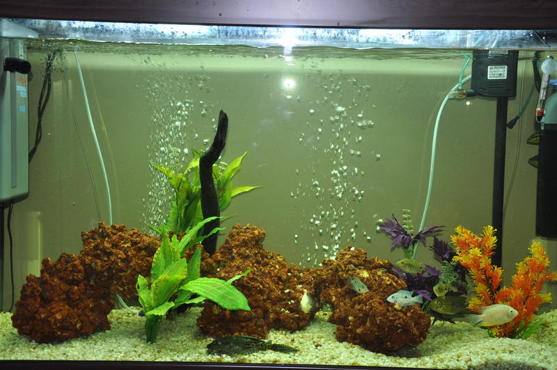 Nikon 1ste foto's 1572.jpg