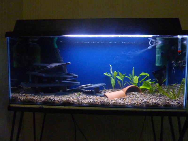P1020824.jpg