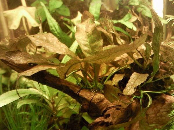 Photo015.jpg