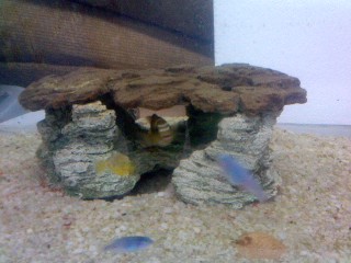 Pic_0923_007.jpg