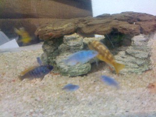 Pic_0923_014.jpg