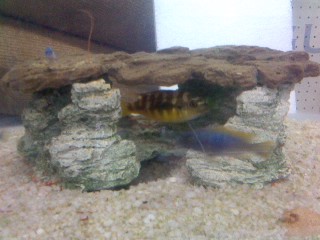 Pic_0923_027.jpg