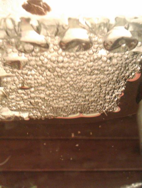 pics of fish 033.jpg