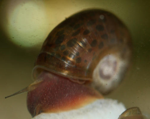 POTM - helper 00.jpg