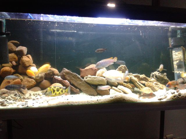 rescape 1.jpg