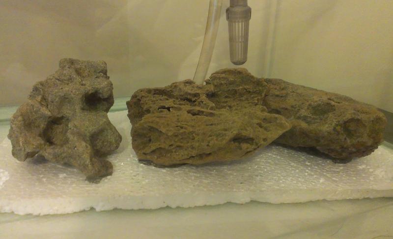 Rocks.jpg