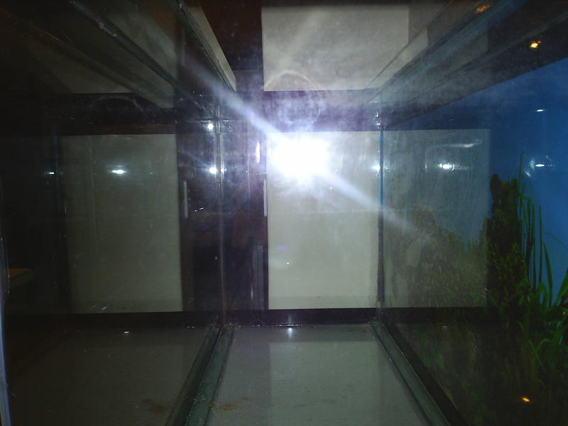S4010259.jpg