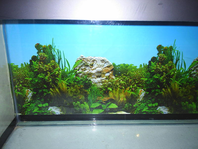 S4010262.jpg