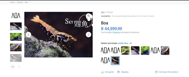 Screenshot 2023-06-15 074450.jpeg