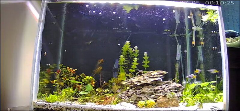 Screenshot_2021-07-04-22-10-23-415_com.macrovideo.v380.jpg