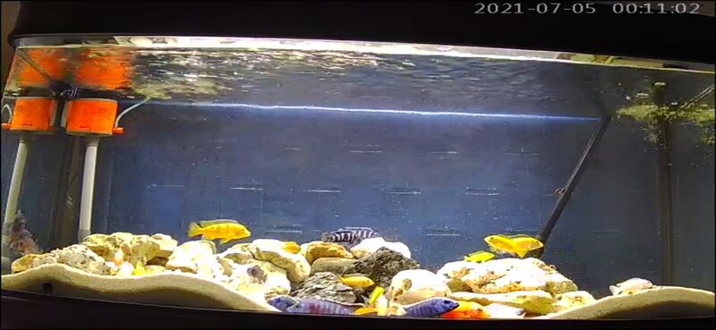 Screenshot_2021-07-04-22-10-59-850_com.macrovideo.v380.jpg
