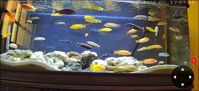 Screenshot_2021-07-05-15-07-43-758_com.macrovideo.v380.jpg