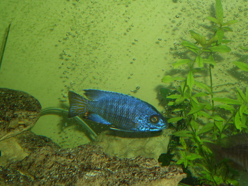 SDC11708.jpg