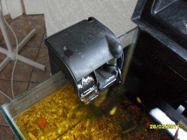 SDC12145.jpg