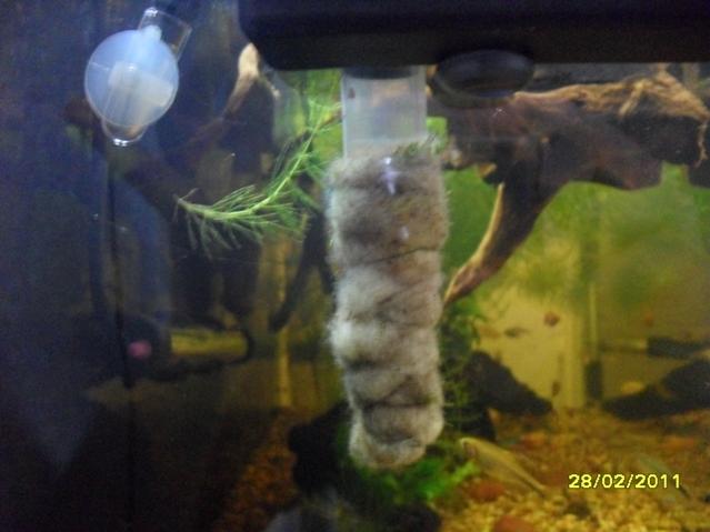 SDC12147.jpg
