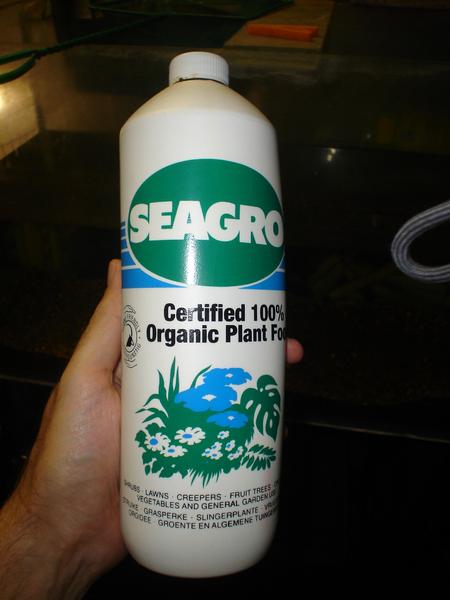 seagrow.jpg
