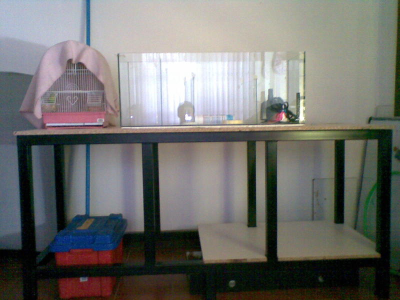 Stand 5.jpg