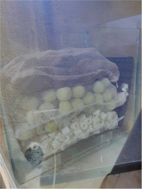 Sump.jpg