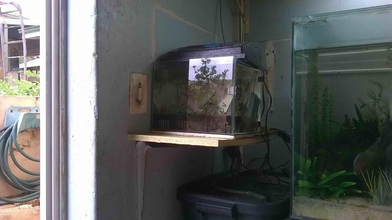 Tank 03.jpg