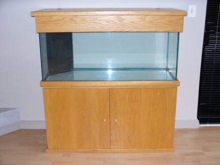 tank 1.jpg