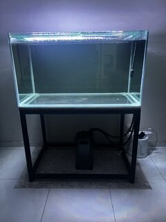 TANK 1.JPG