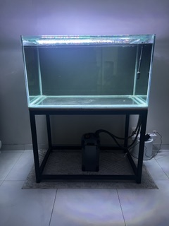 TANK 2.JPG