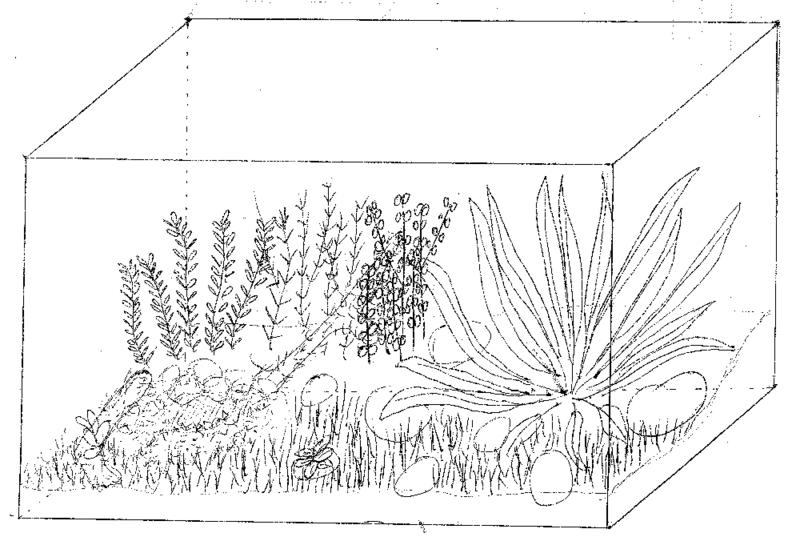 tankdrawing.jpg