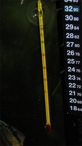 temp.jpg