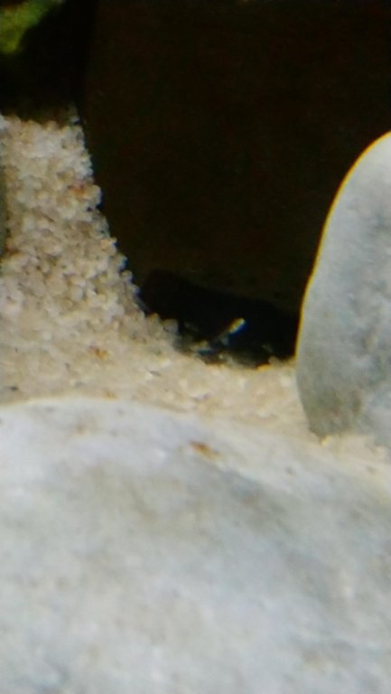 thumbnail_DSC_0073.jpg