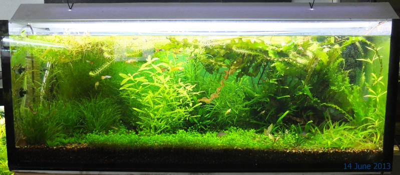 trim02.jpg