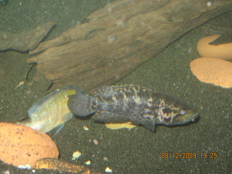 Unsorted 058.jpg