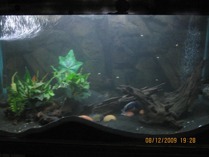 Unsorted 070.jpg