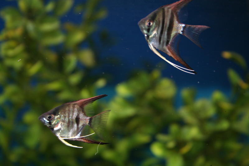 Update 30 Sept 2011 081.jpg