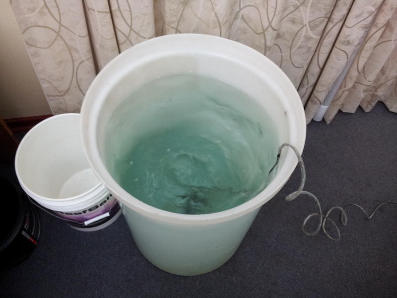 Water change.jpg
