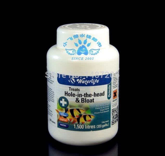 Waterlife-octozin-hole-in-head-font-b-fish-b-font-font-b-doctor-b-font-medicine.jpg