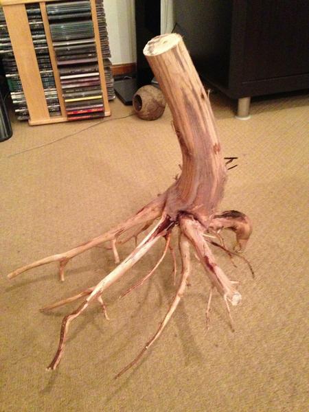 wood.jpg