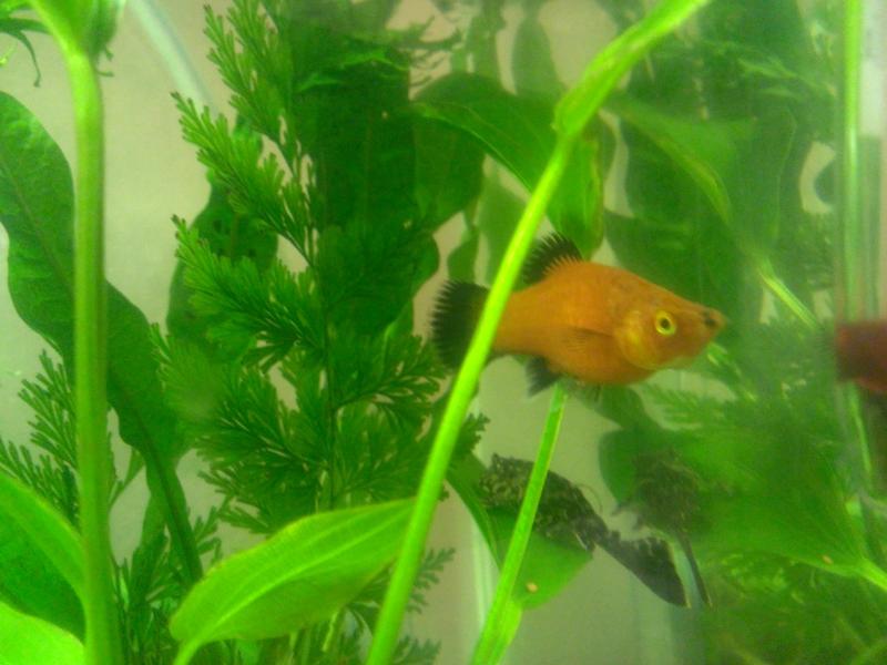 WP_20130522_006.jpg