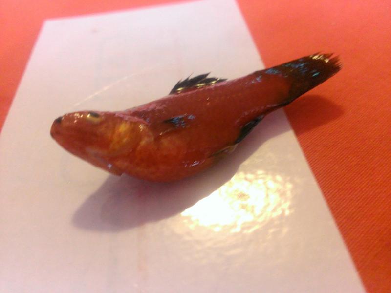 WP_20130523_004.jpg