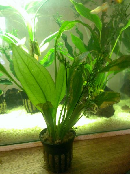 WP_20130523_006.jpg