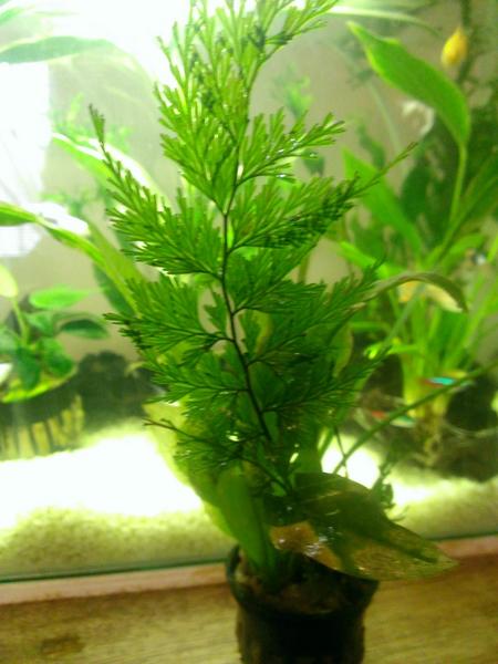 WP_20130523_007.jpg