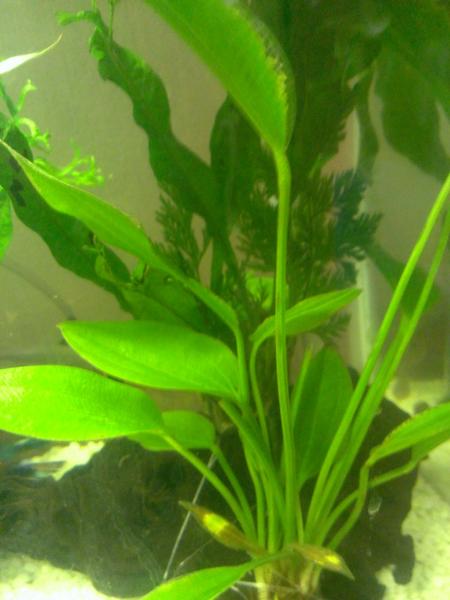 WP_20130523_011.jpg