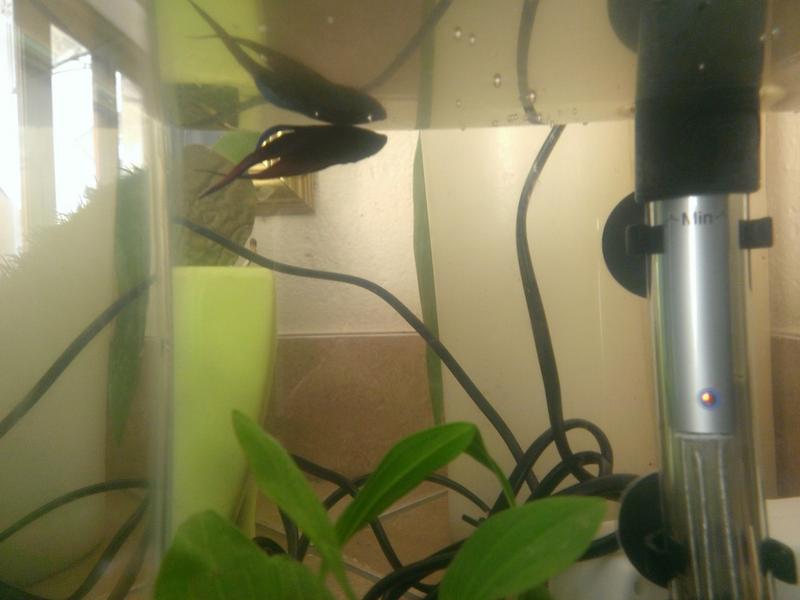 WP_20130629_004.jpg