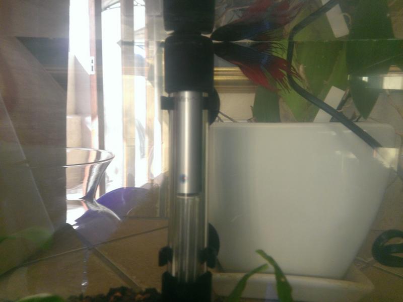 WP_20130629_005.jpg