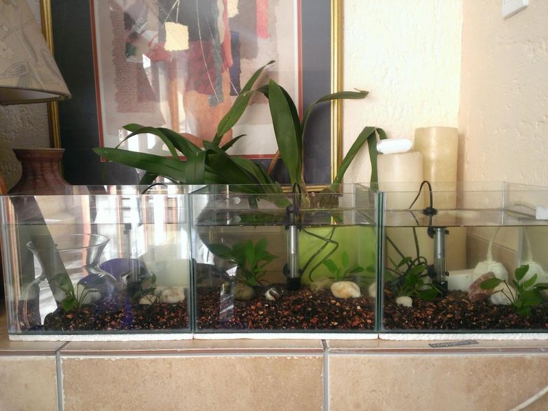 WP_20130629_010.jpg