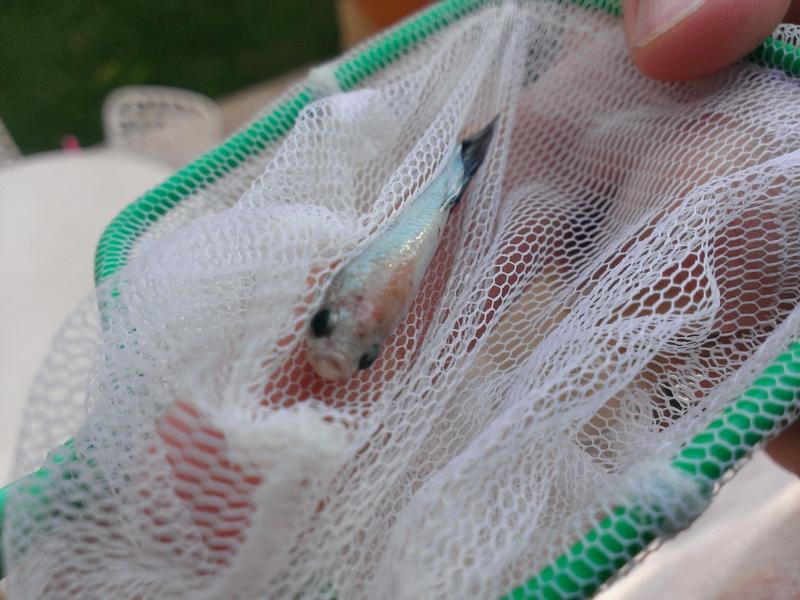 WP_20130629_011.jpg