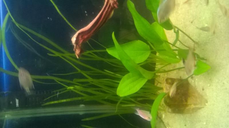 WP_20160912_21_44_50_Pro.jpg